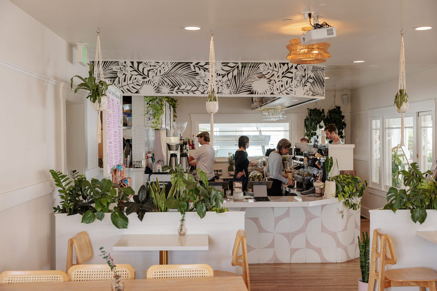 Caje Ventura interior counter