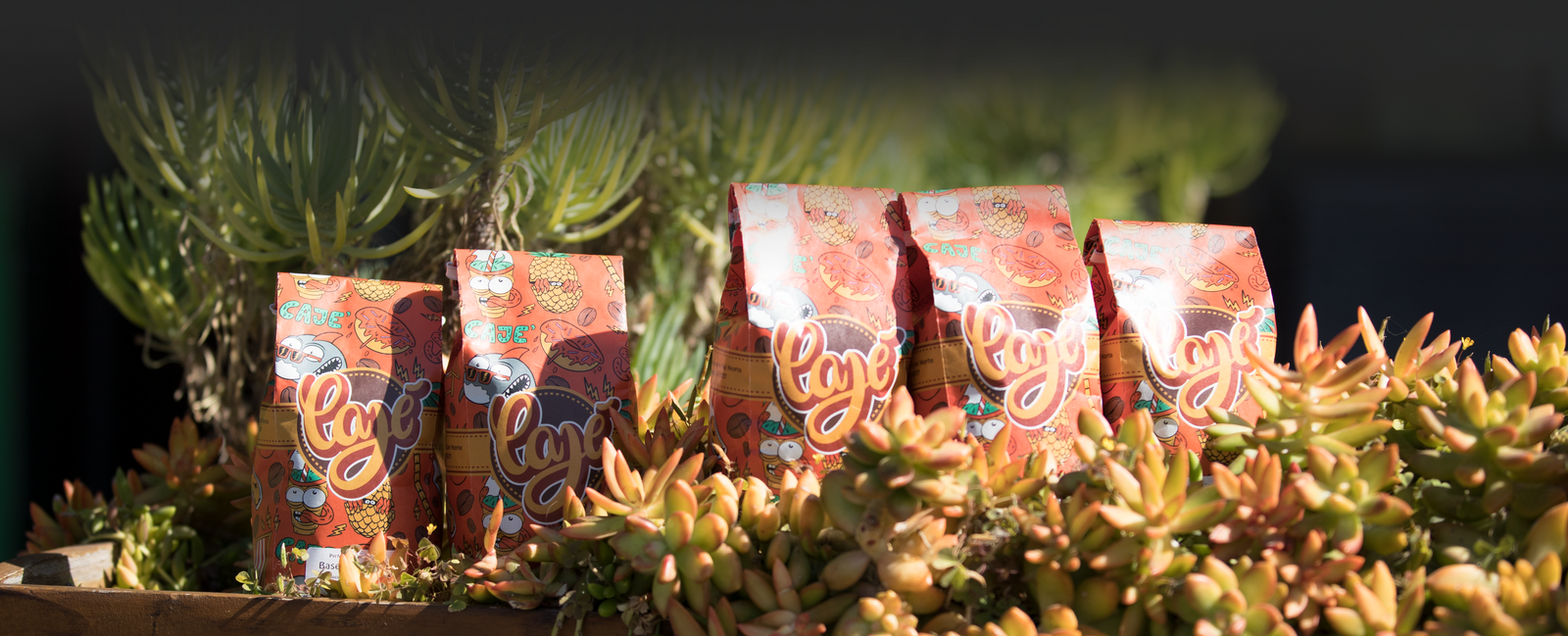 santa barbara cold brews and craft coffee beans